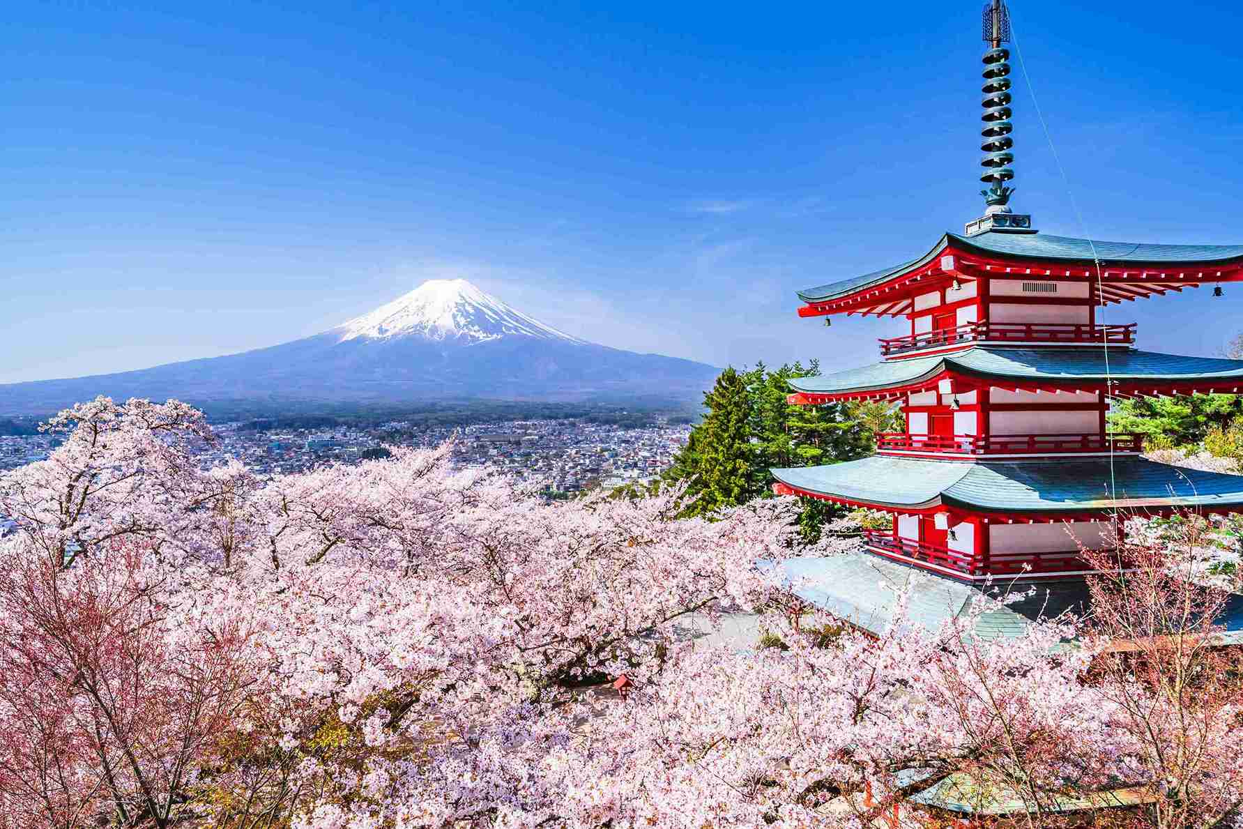 7N Japan Early Cherry Blossom Getaway | Ex-DEL