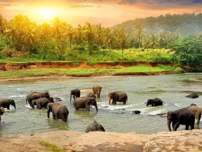 5N Kerala Getaway | Ex-DEL photo 4