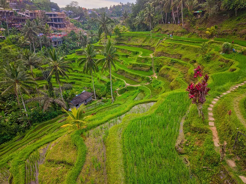 6N Kuta-Ubud | Ex-DEL photo 9