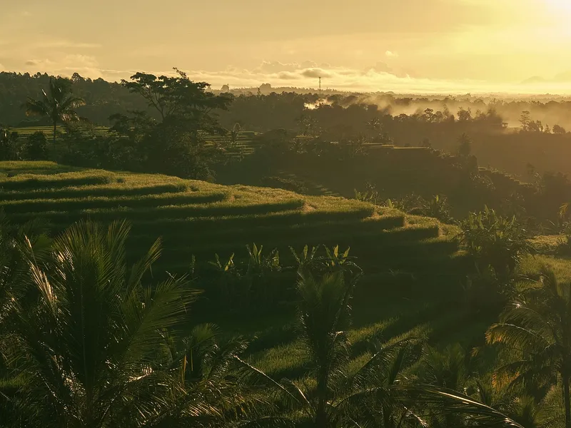 6N Kuta-Ubud | Ex-DEL photo 11