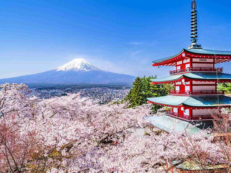 7N Japan Early Cherry Blossom Getaway | Ex-DEL
