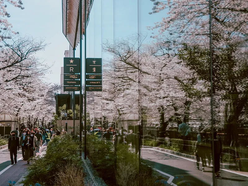7N Japan Early Cherry Blossom Getaway | Ex-DEL photo 6