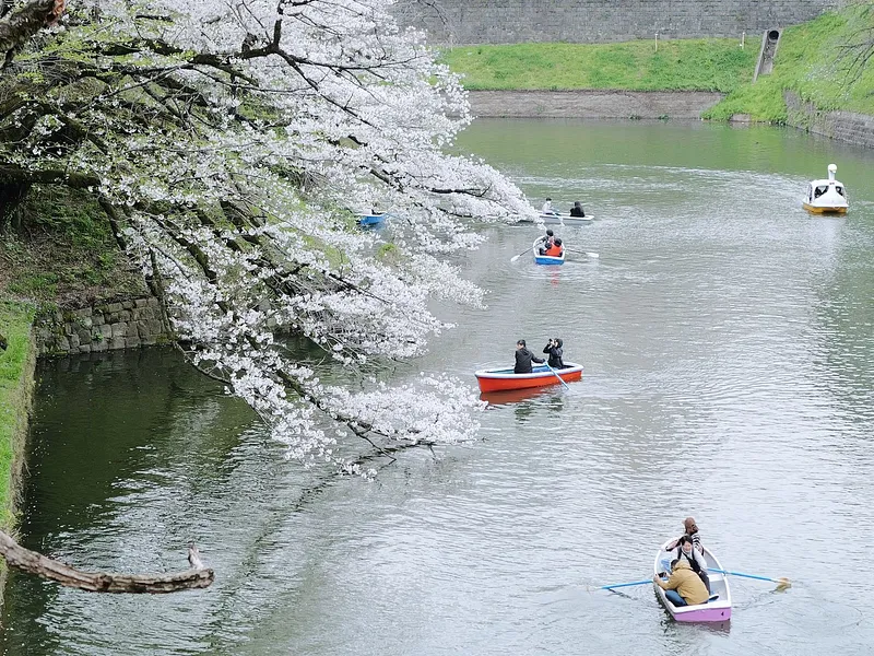 7N Japan Early Cherry Blossom Getaway | Ex-DEL photo 7