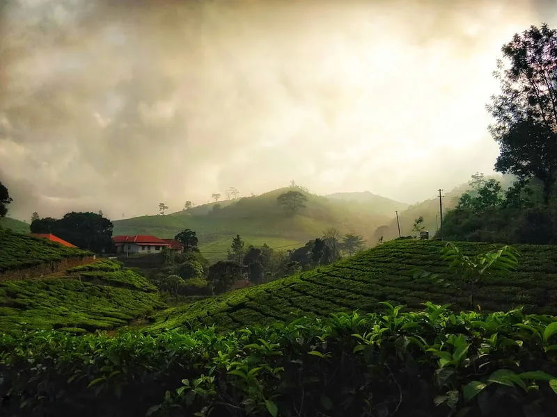 The Signature Kerala Journey photo 3