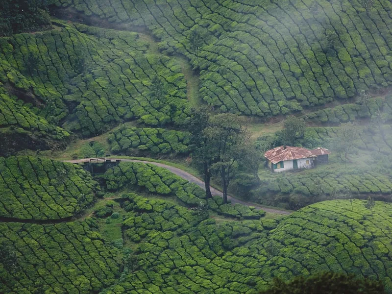The Signature Kerala Journey photo 4