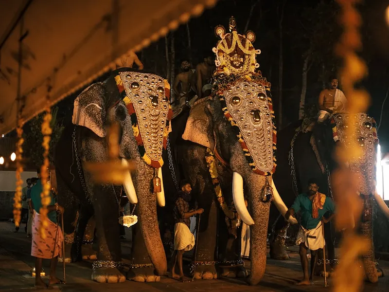 The Signature Kerala Journey photo 6
