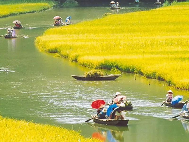 Timeless Hanoi & Tropical Da Nang photo 7