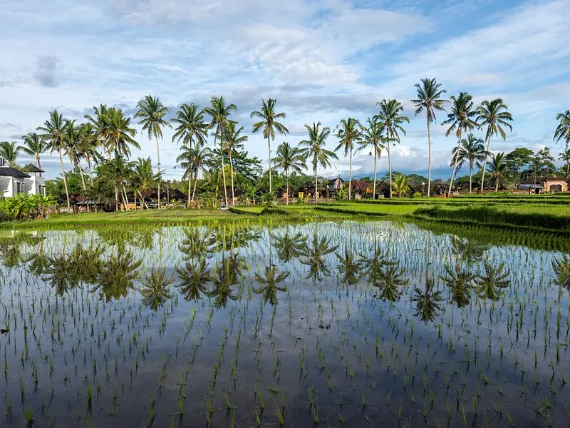 North Bali: Volcano, Lakes & Hot Springs photo 9