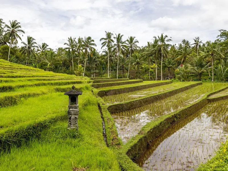 Bali Culture, Gili Calm photo 10