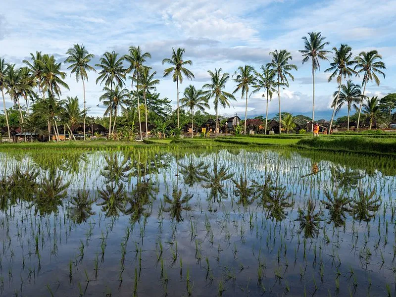 Bali Culture, Gili Calm photo 11