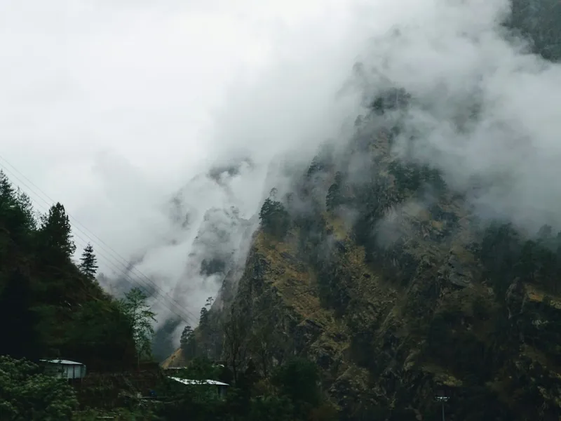 Kedarnath & Badrinath Yatra photo 8