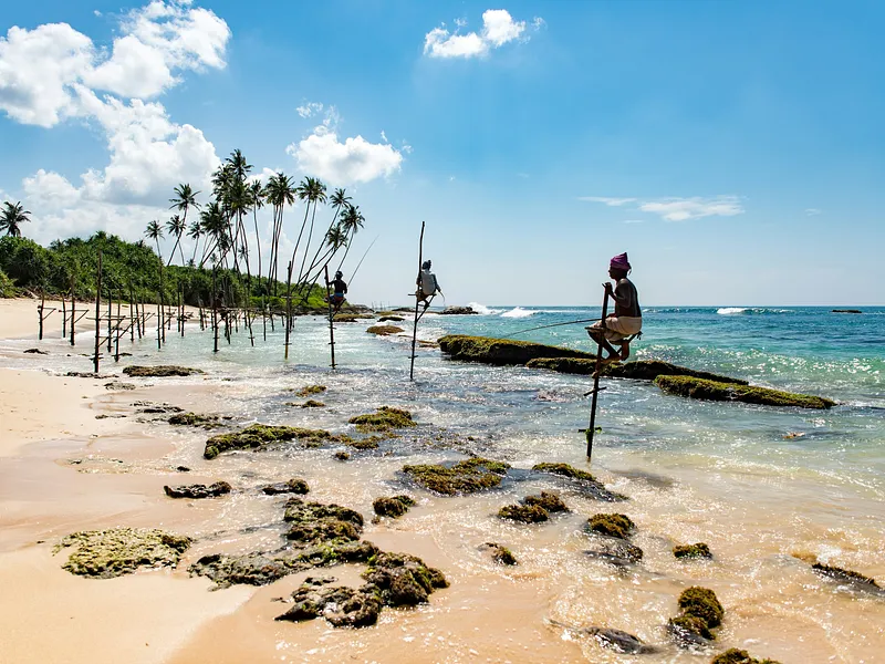 Highlights of Sri Lanka photo 11