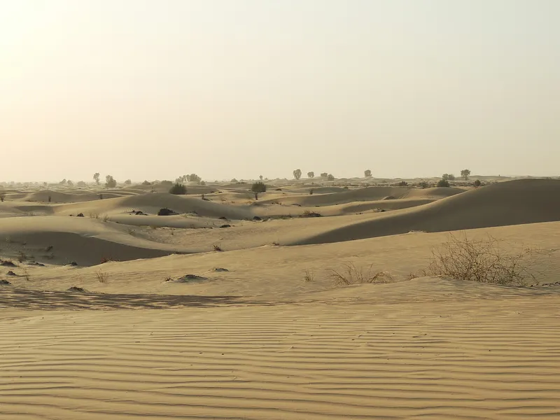 Jaisalmer Sand Dunes Premium from Delhi photo 8