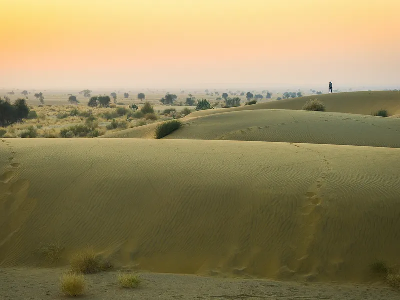 Jaisalmer Sand Dunes Premium from Delhi photo 10