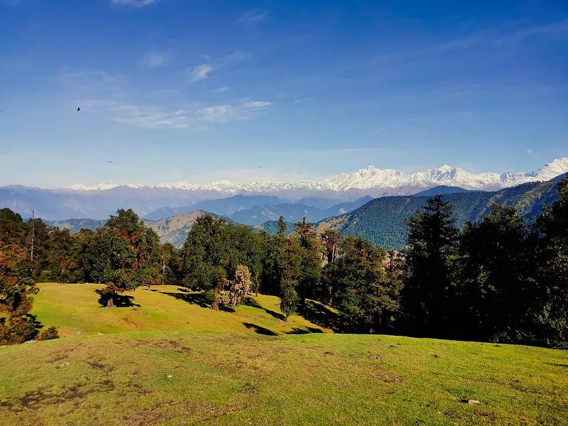 Chopta and Auli Trek from Delhi photo 6