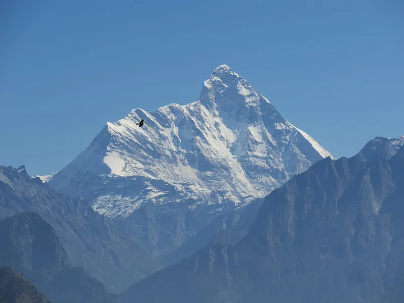 Chopta and Auli Trek from Delhi photo 9