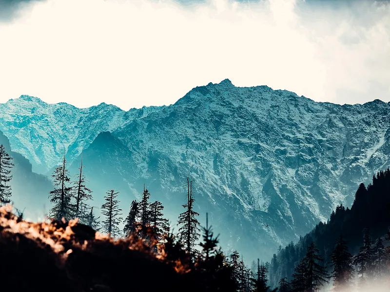 Manali and Kasol from Delhi photo 6