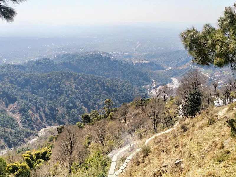 McLeod Ganj and Triund Trek from Delhi photo 9