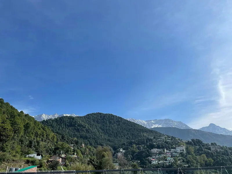 McLeod Ganj and Triund Trek from Delhi photo 10