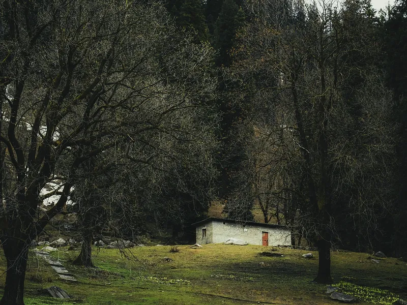 Jibhi and Tirthan Valley from Delhi photo 6