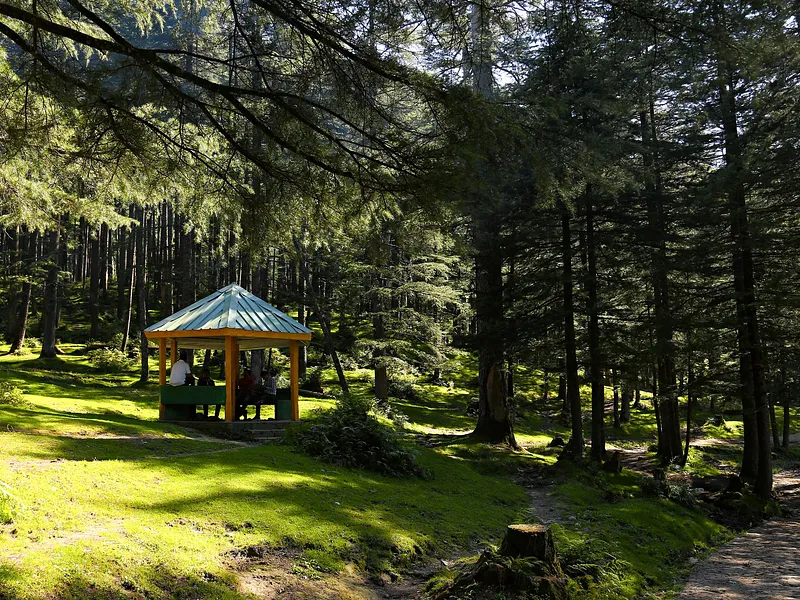 Jibhi and Tirthan Valley from Delhi photo 7