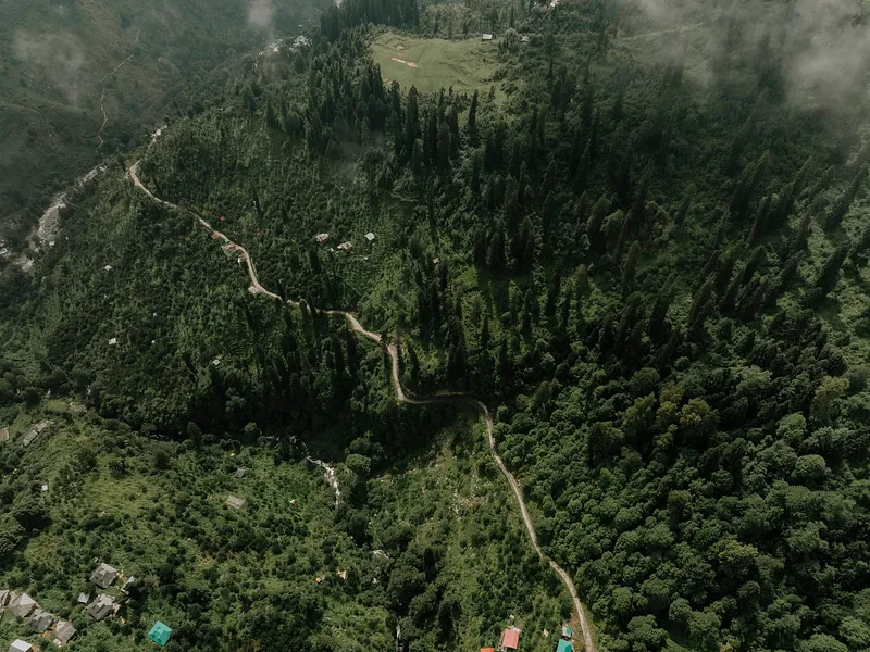 Jibhi and Tirthan Valley from Delhi photo 9