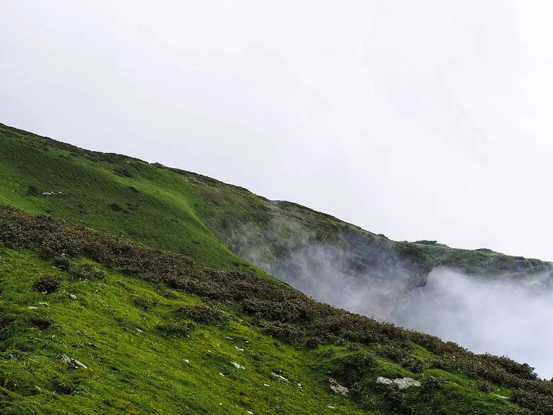 Aali Bedni Bugyal Trek from Rishikesh photo 6