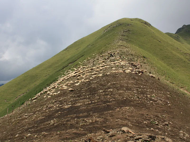 Aali Bedni Bugyal Trek from Rishikesh photo 7