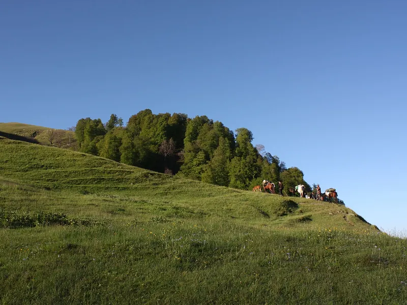 Aali Bedni Bugyal Trek from Rishikesh photo 9