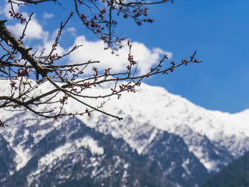 Harshil Valley and Gangotri from Delhi photo 2