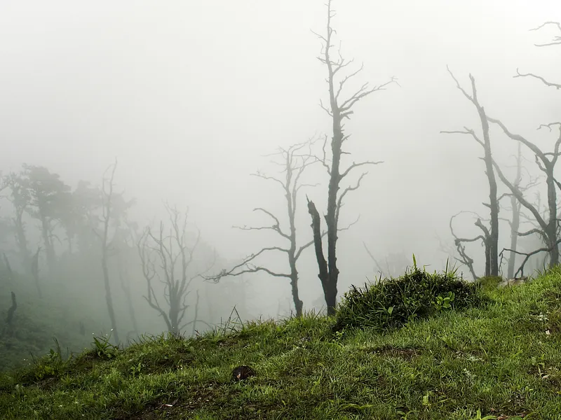 Nag Tibba Trek from Dehradun photo 5