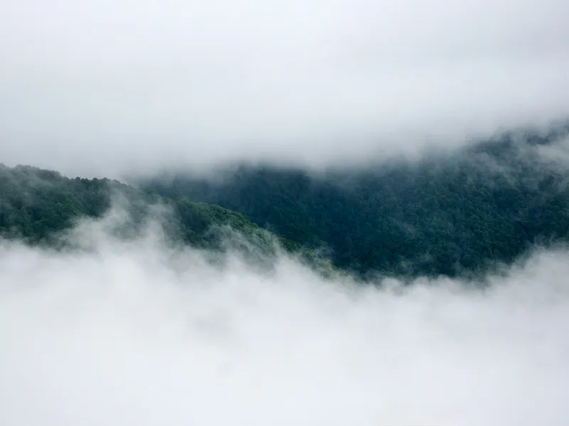 Nag Tibba Trek from Dehradun photo 6
