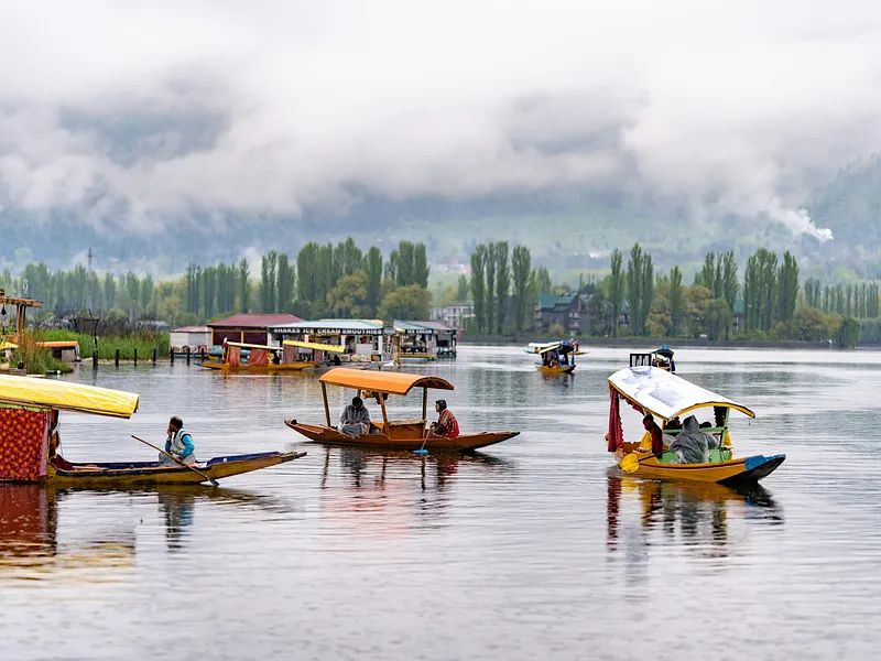 Kashmir Group Tour from Srinagar photo 2