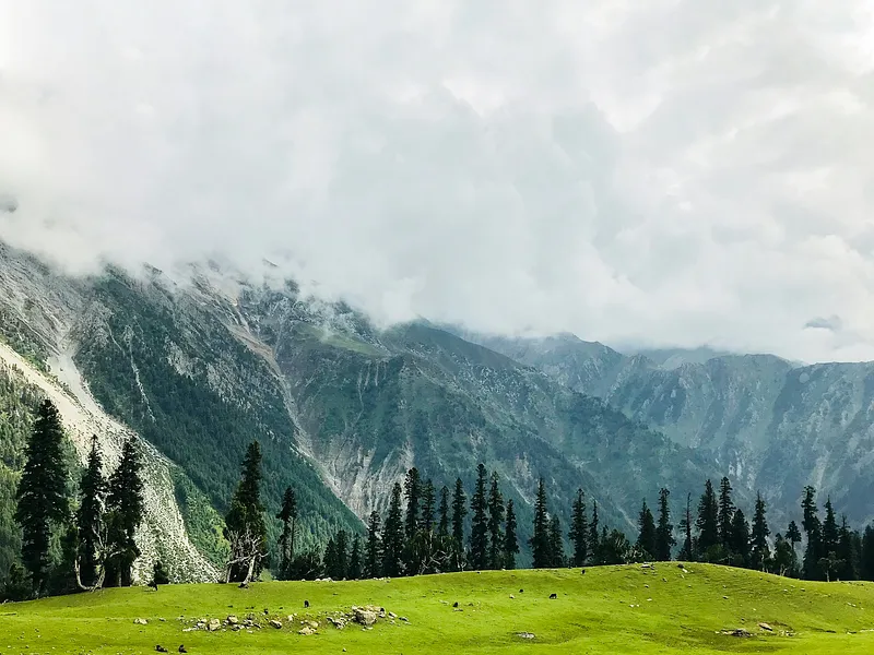 Kashmir Group Tour from Srinagar photo 4