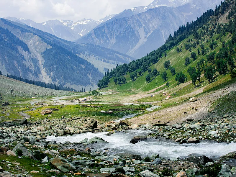 Kashmir Group Tour from Srinagar photo 9