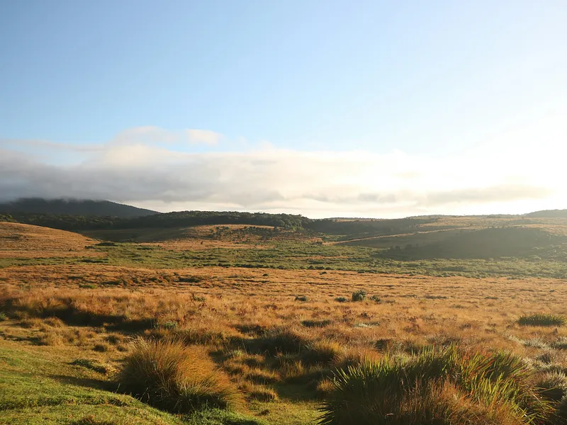 Mountains Before Tea
