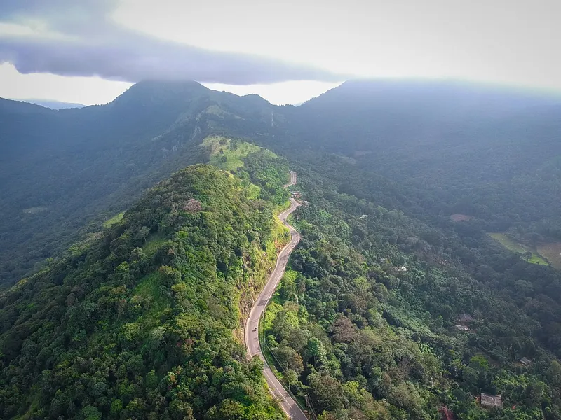 Udawattakele Forest Reserve