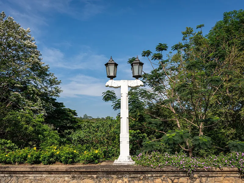 Royal Botanic Gardens, Peradeniya