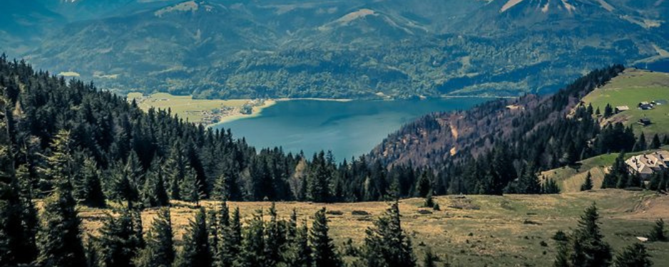 Untitled design - 2025-11-07T002414.833