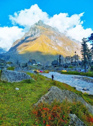 Untitled design - 2025-11-08T165219.611