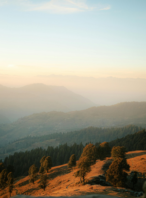 Untitled design - 2025-11-13T234320.165