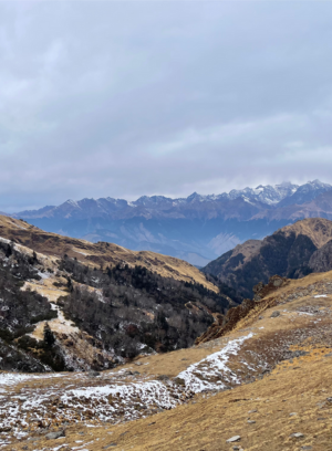 Untitled design - 2025-11-14T000655.638